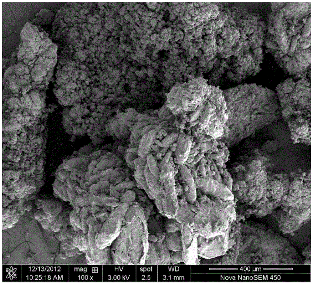 A kind of high loading capacity aluminum chloride catalyst and its preparation method and application