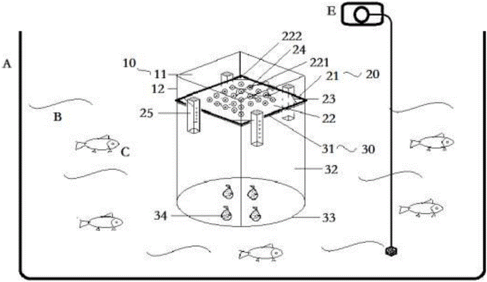 Fish-vegetable symbiotic type ecological floating bed and raising method thereof