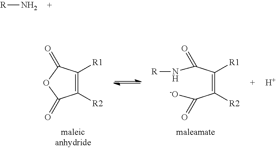 Disubstituted Maleic Anhydrides with Altered Kinetics of Ring Closure