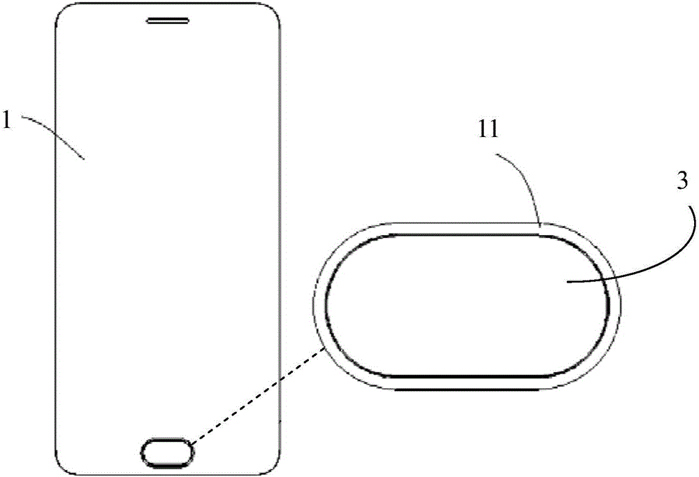 Backlight structure of fingerprint module and electronic device