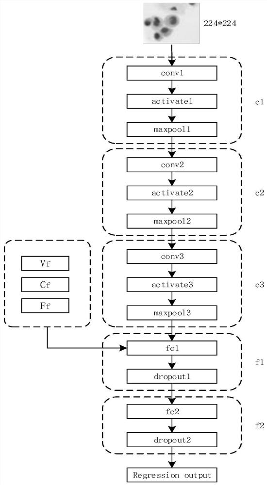 Microscopic image focus drift distance measurement method and system, computer equipment