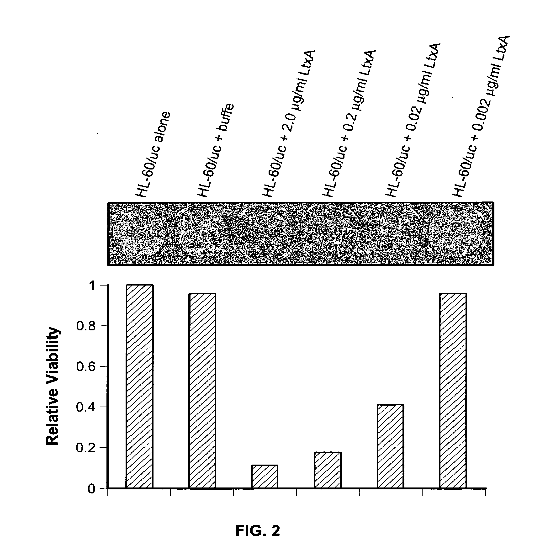 Compositions for the treatment of cancer, and methods for testing and using the same