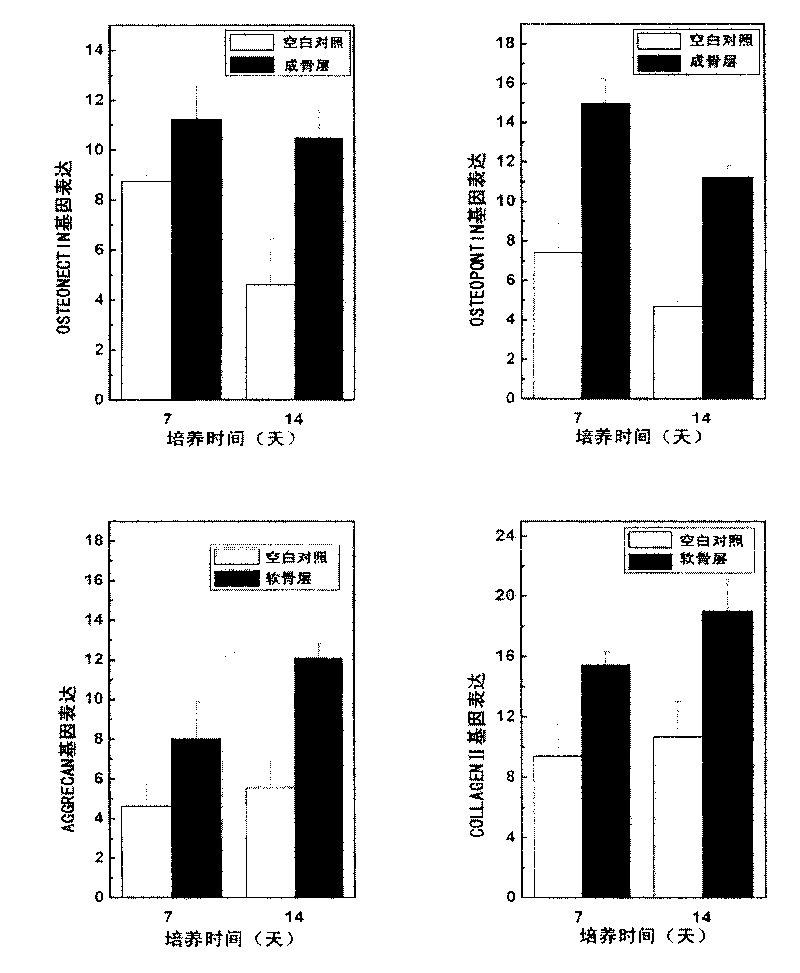 Double-gene activated bone-cartilage compound transplant, preparation method and application thereof