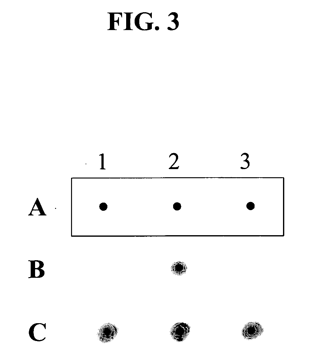 Hybridization portion control oligonucleotide and its uses