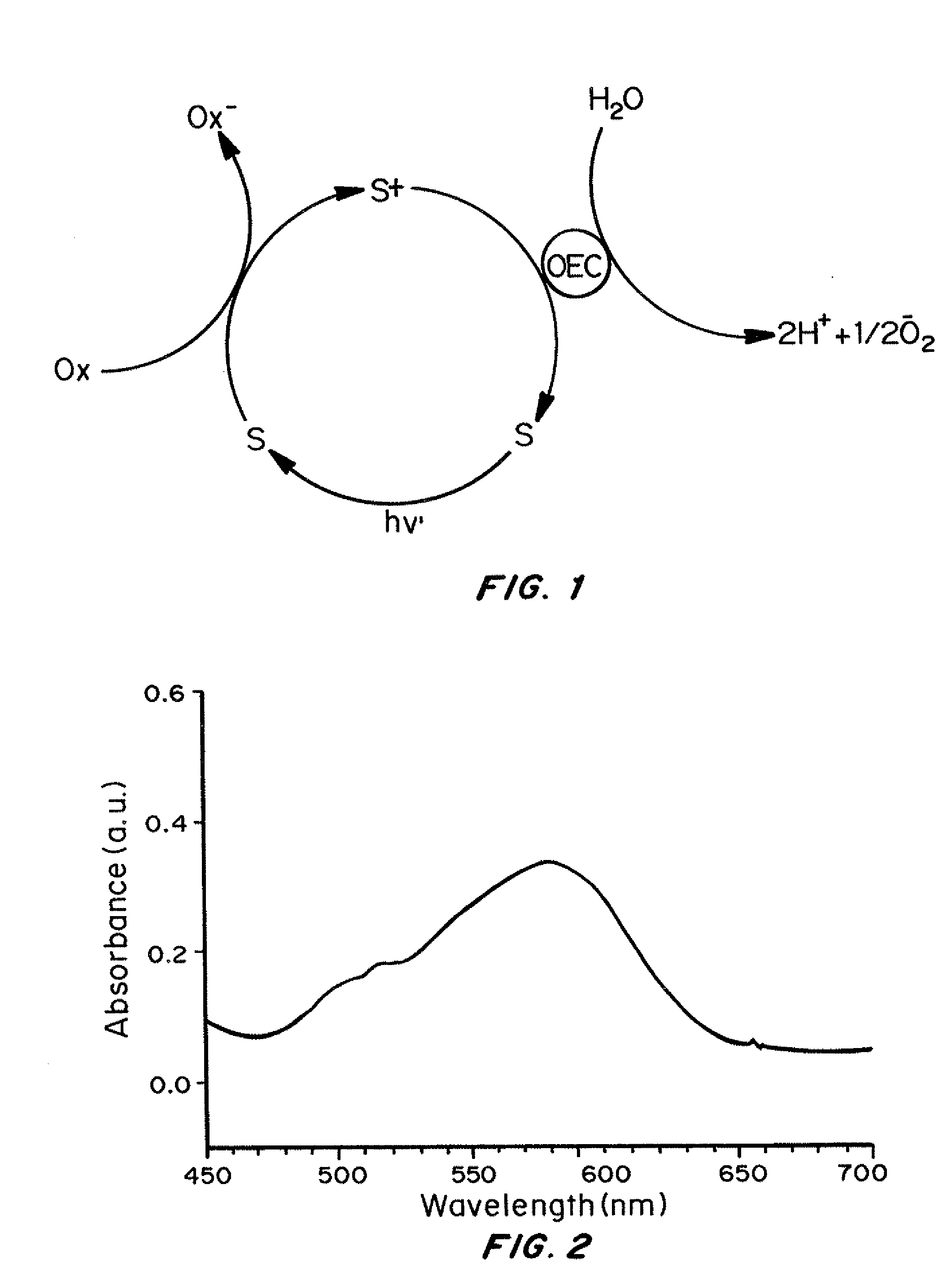 Polyoxometalate water oxidation catalysts and methods of use thereof