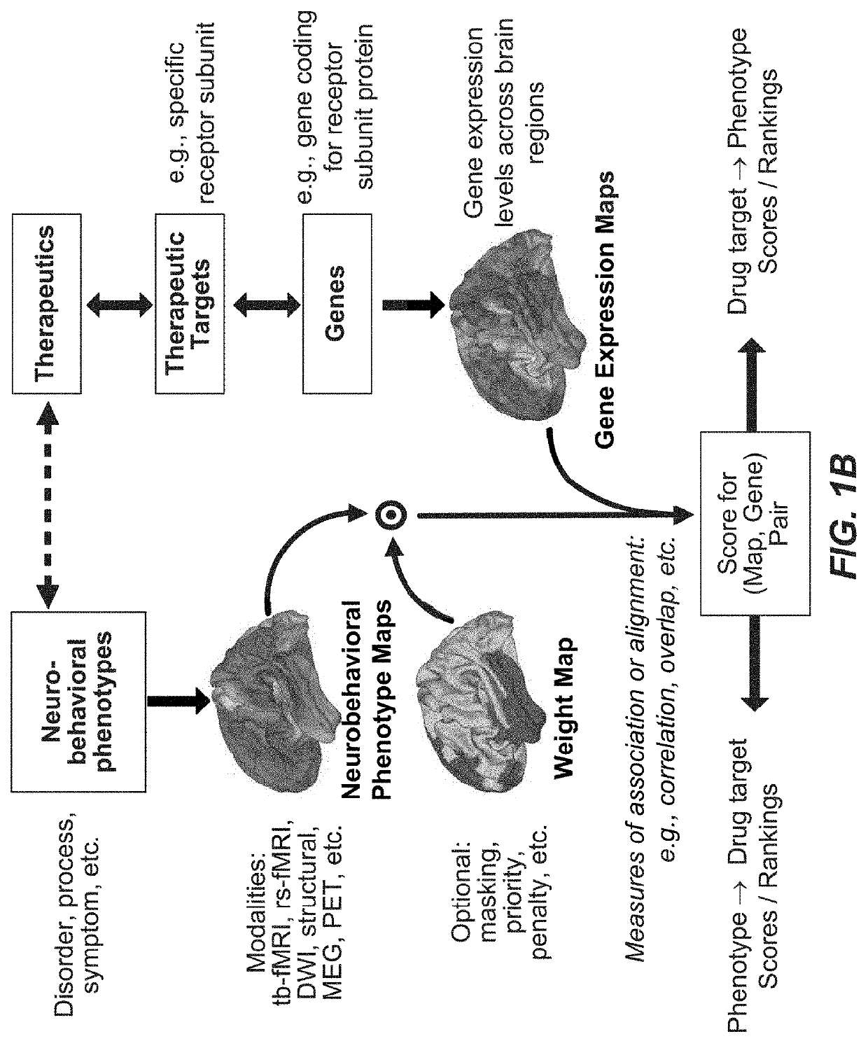 Methods and systems for computer-generated predictive application of neuroimaging and gene expression mapping data