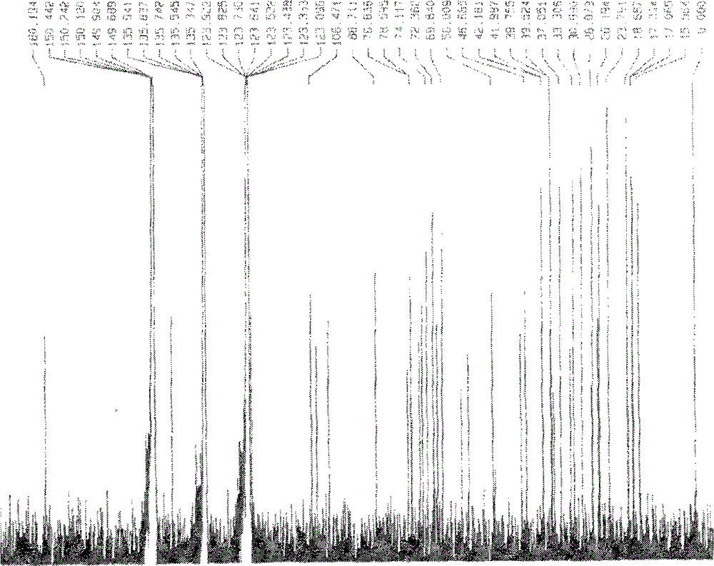 Anti-tumor saponin in anemone plants and preparation method thereof as well as application