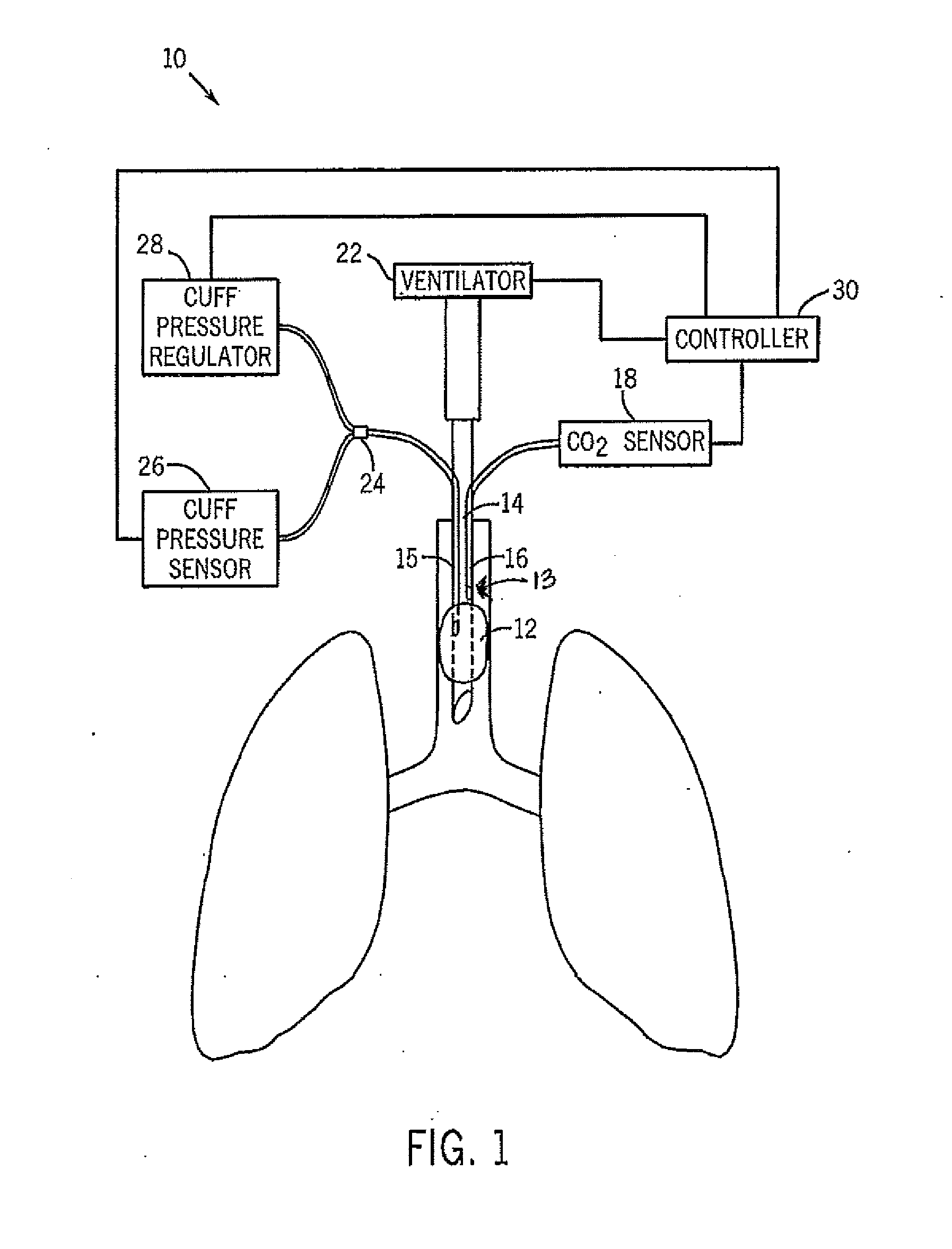 Airway system with carbon dioxide sensor for determining tracheal cuff inflation and technique for using the same