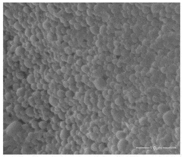 Preparation method of targeting composite nanoparticle
