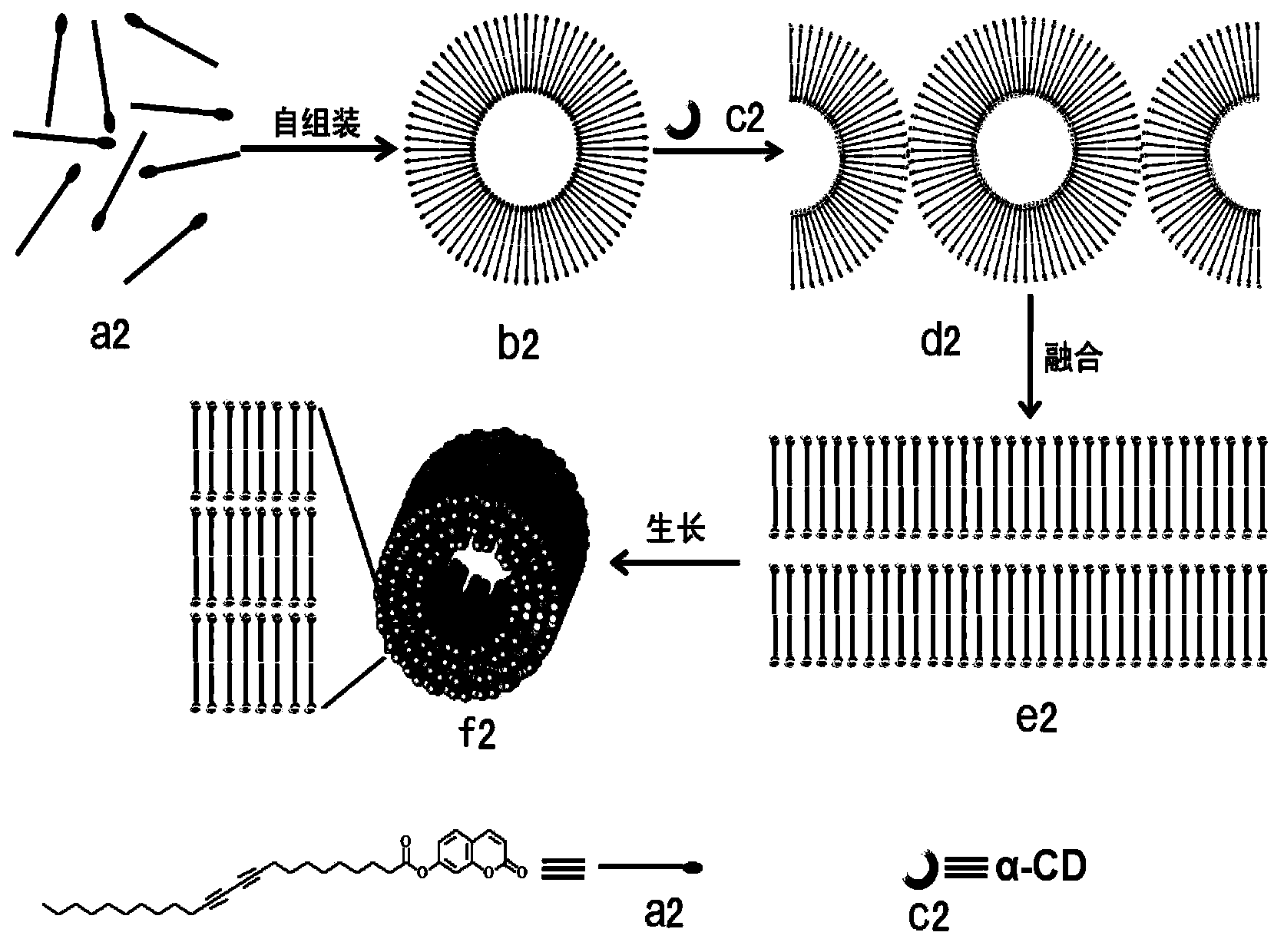 Polydiacetylene micro-tube material and preparation method thereof by using hierarchical self-assembly