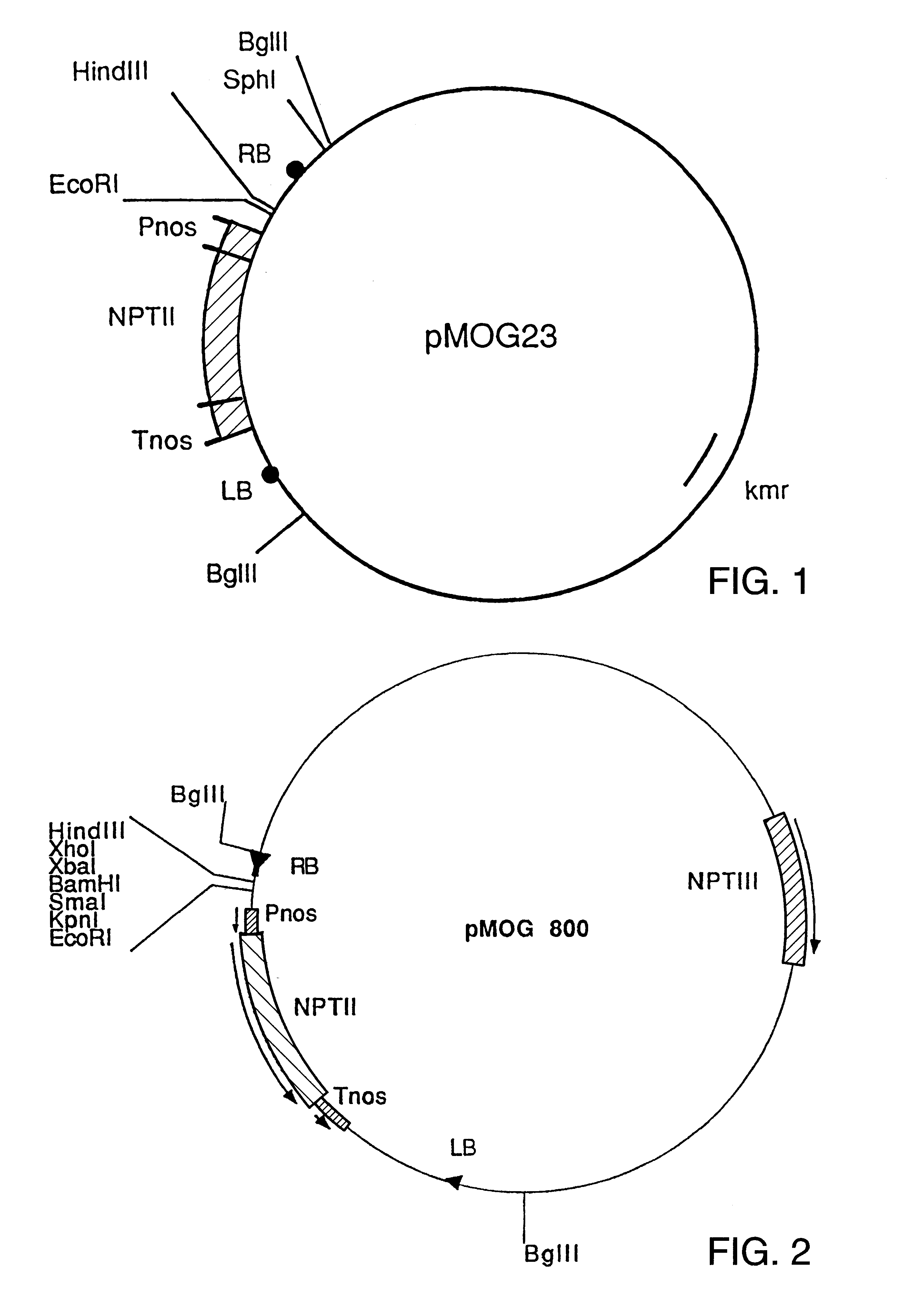 Nematode-inducible regulatory DNA sequences