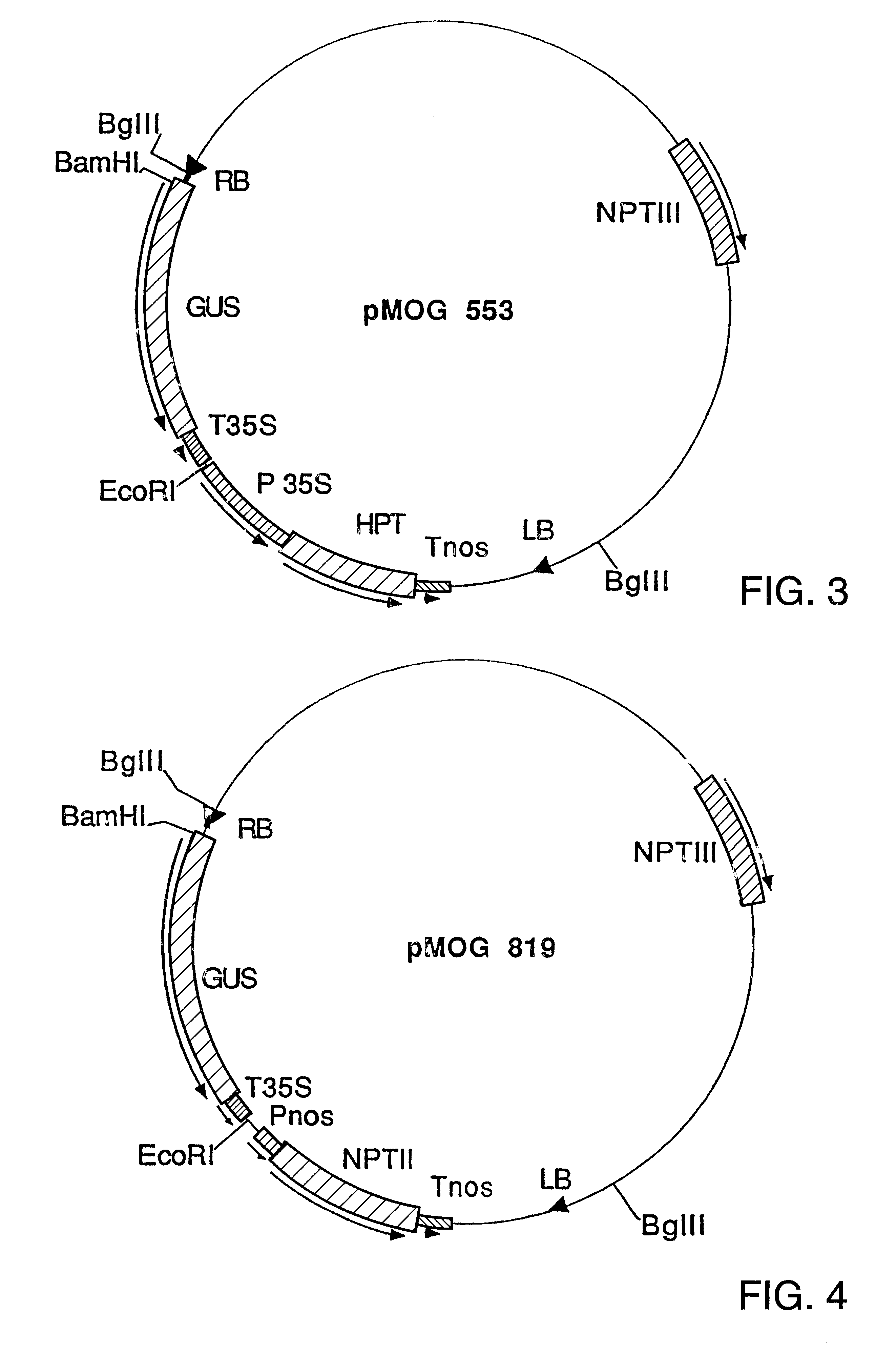 Nematode-inducible regulatory DNA sequences