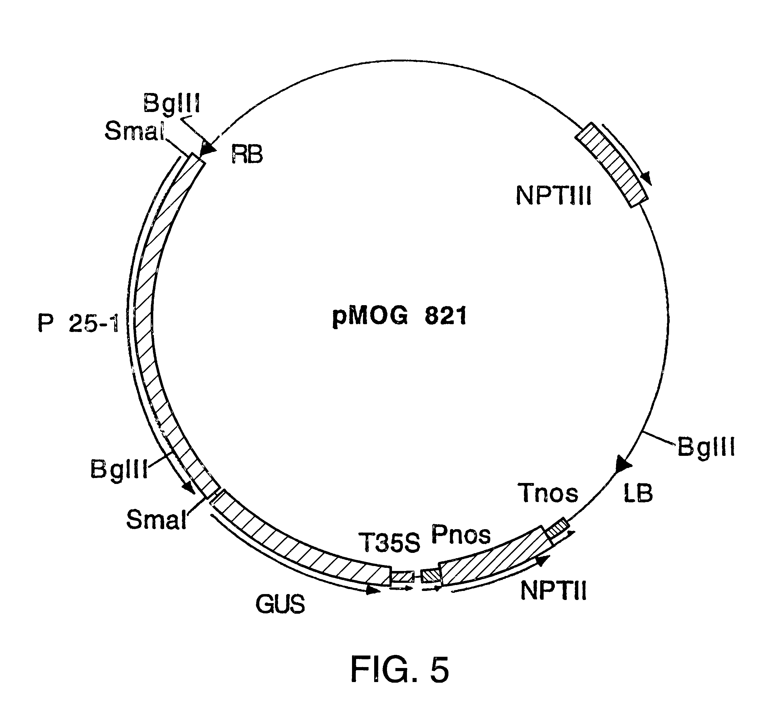 Nematode-inducible regulatory DNA sequences