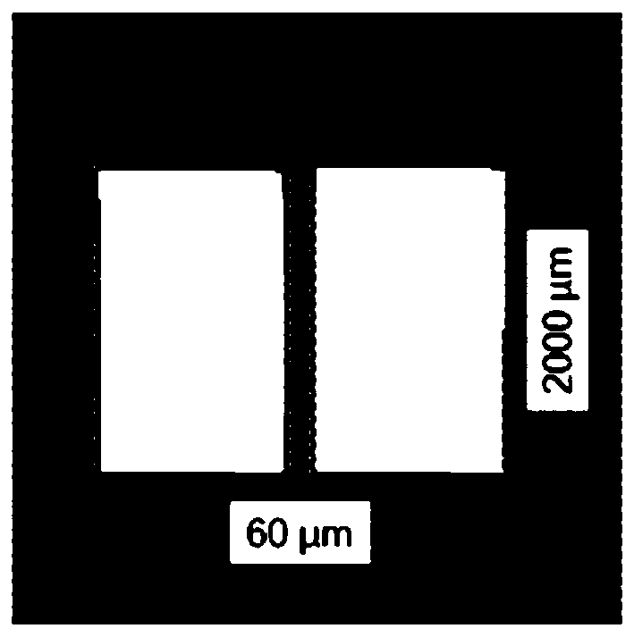 Preparation method of semiconductor film field effect transistor made of unstable two-dimensional material