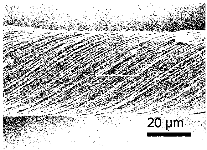 Horizontal directional carbon nanotube array and preparation method thereof
