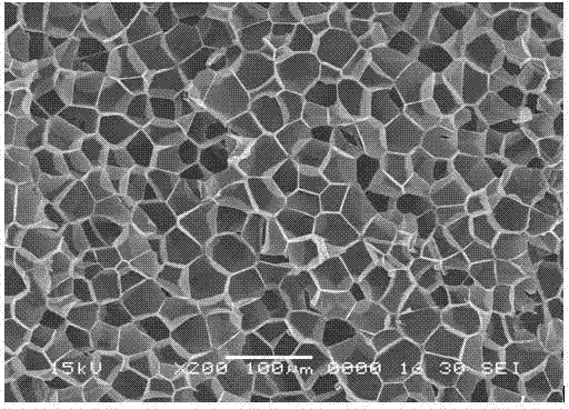 Industrially-applicable method for preparing polymer foamed material by using supercritical fluid technology