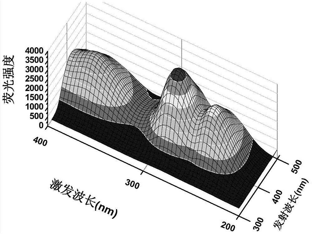 Traceable polymer and preparation method and application thereof