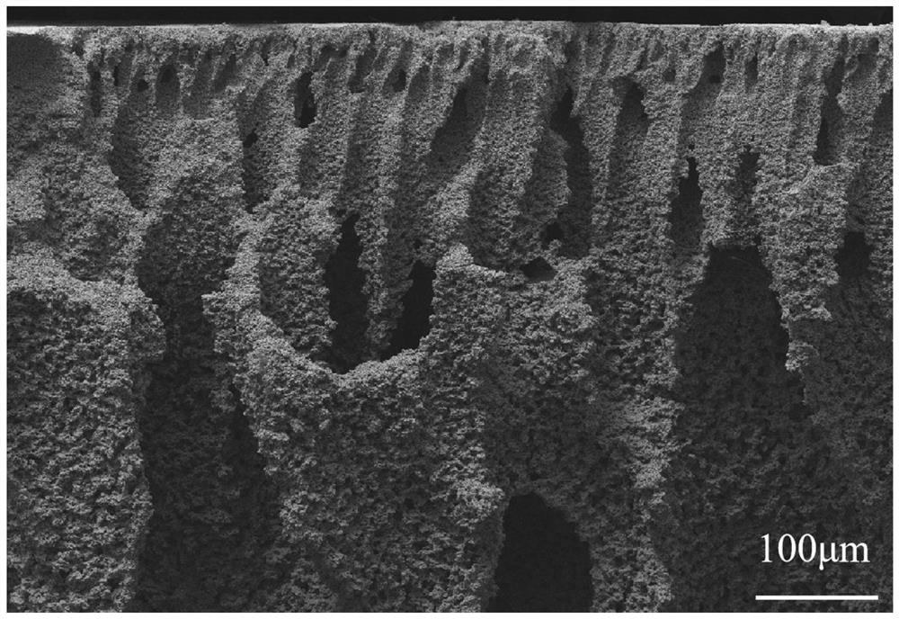 A kind of preparation method of w-cu composite plate with cu phase in finger-like gradient distribution