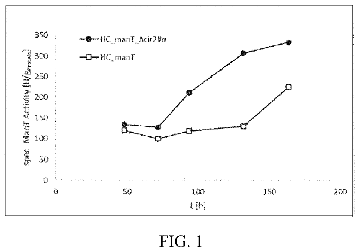 Method of producing proteins in filamentous fungi with decreased CLR2 activity