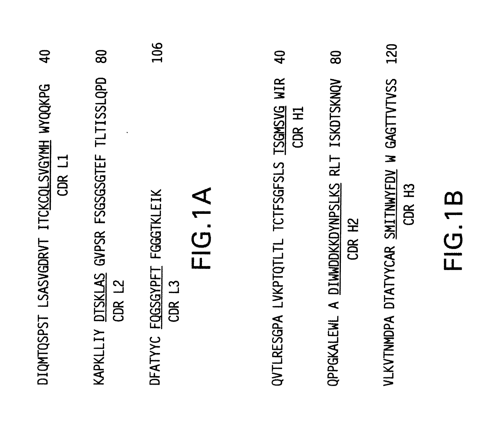 Methods of preventing and treating rsv infections and related conditions
