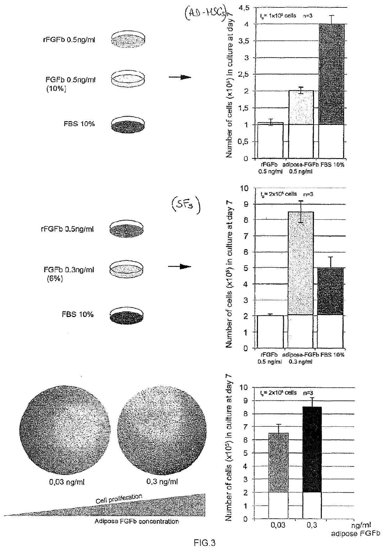 Catalyst for the regeneration of tissues and related method for making it