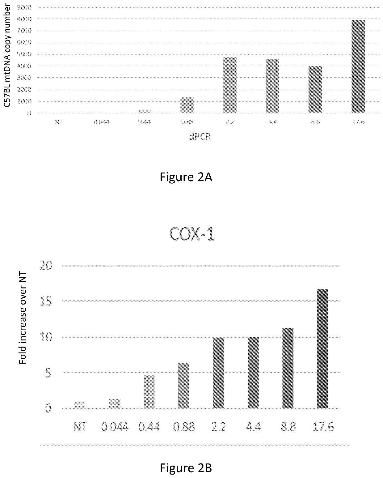 Mitochondrial augmentation therapy for primary mitochondrial diseases