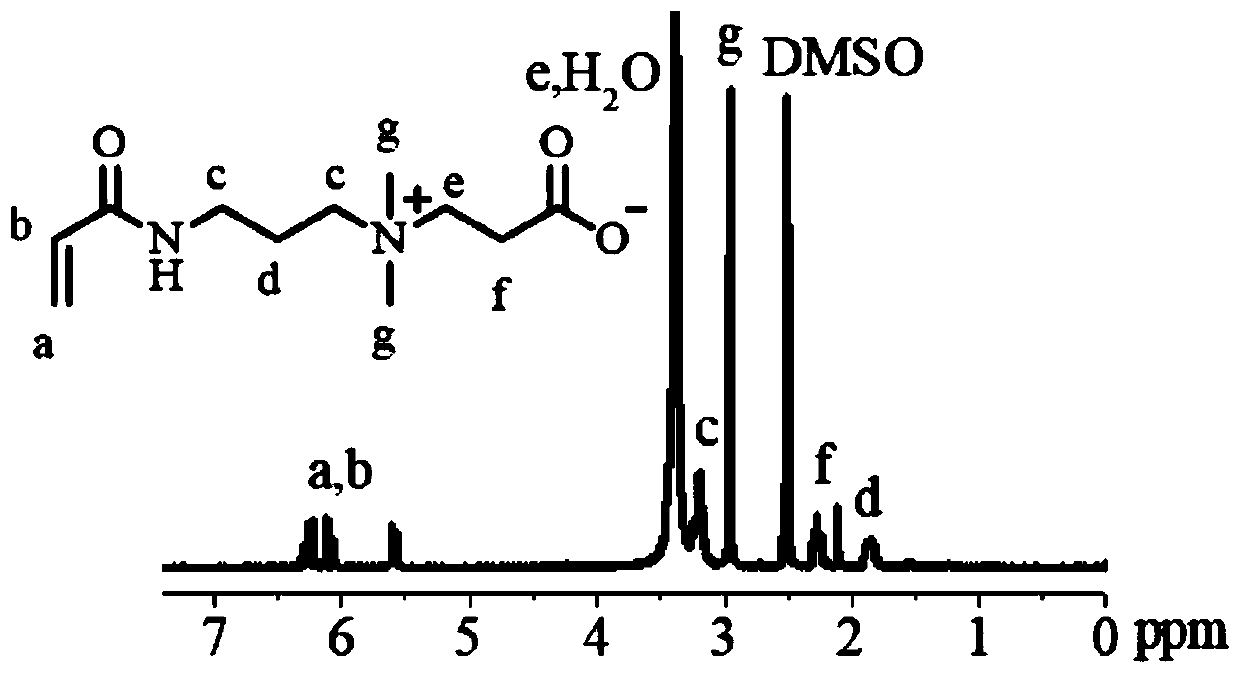 Biodegradable zwitterionic polycarbonate and application thereof