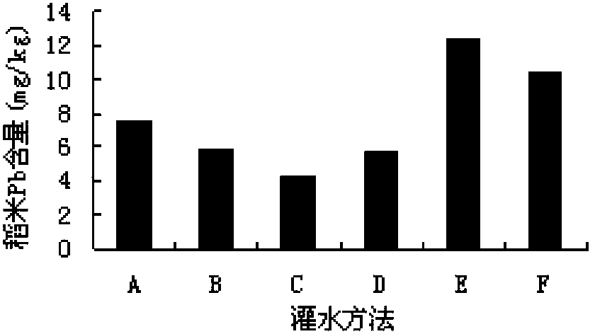 Paddy field irrigation method for reducing lead content of paddy