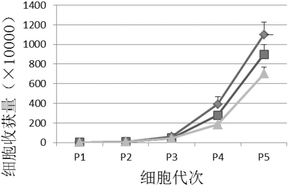 Induced pluripotent stem cell culture medium as well as application and cultivation method thereof