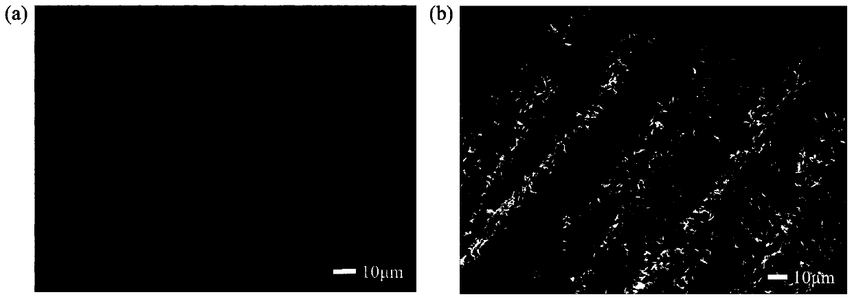 Preparation method of carbon cloth-based nickel-cobalt bimetal selenide nano square sheet electrode material