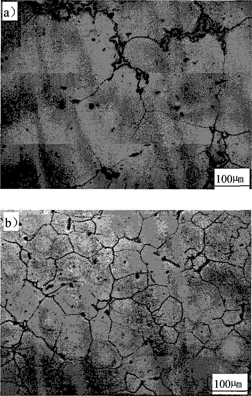 Thinning processing method for magnesium alloy fused mass and apparatus