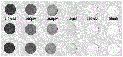 Copper ion test paper and method for testing copper ions in water