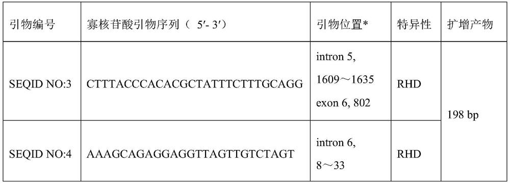 rhd-t268a mutant and its detection