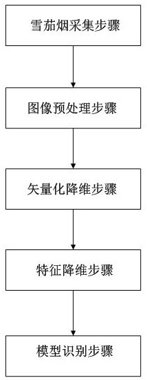 Cigar harvesting maturity identification method and system based on ensemble learning