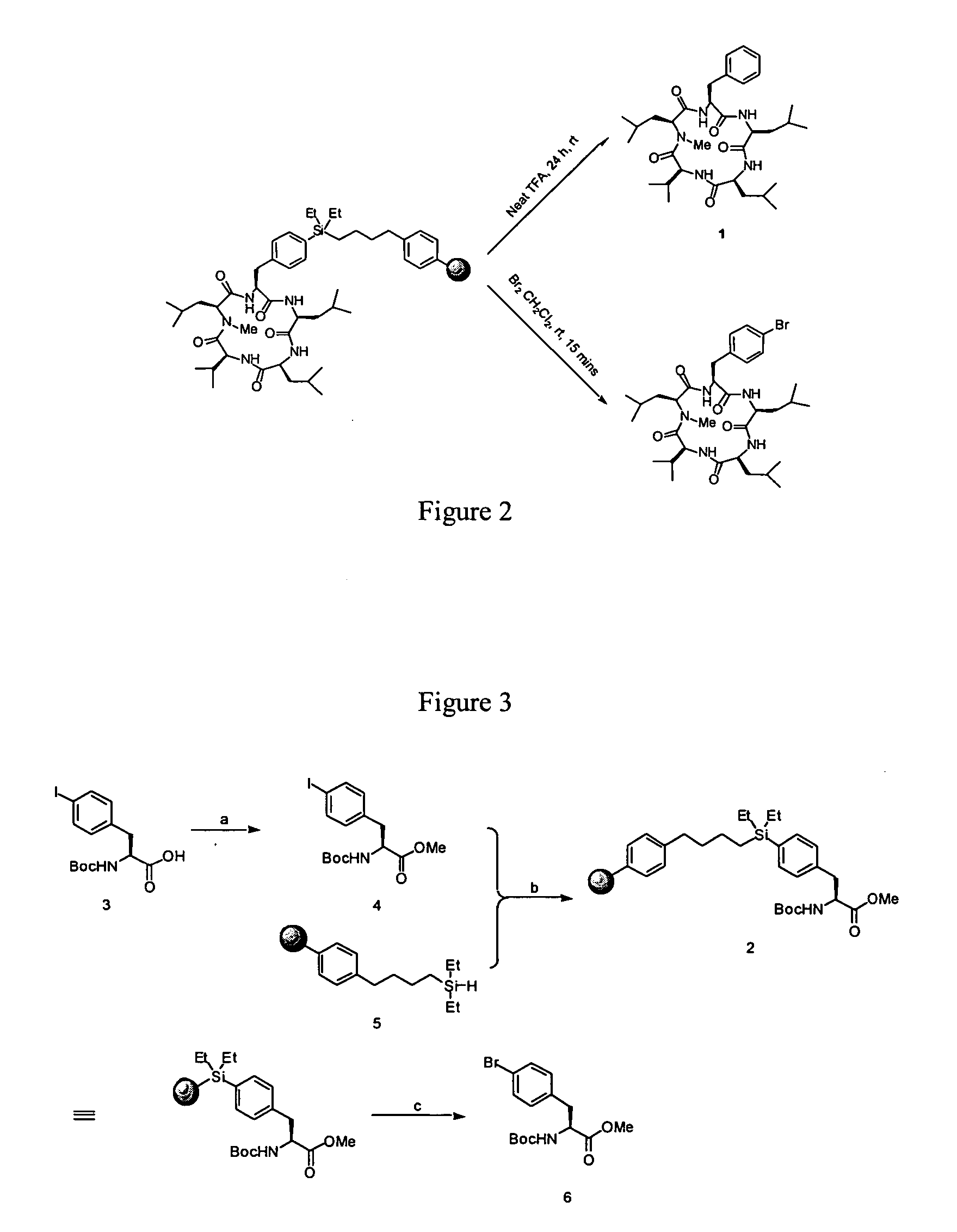 Cyclic peptide antitumor agents