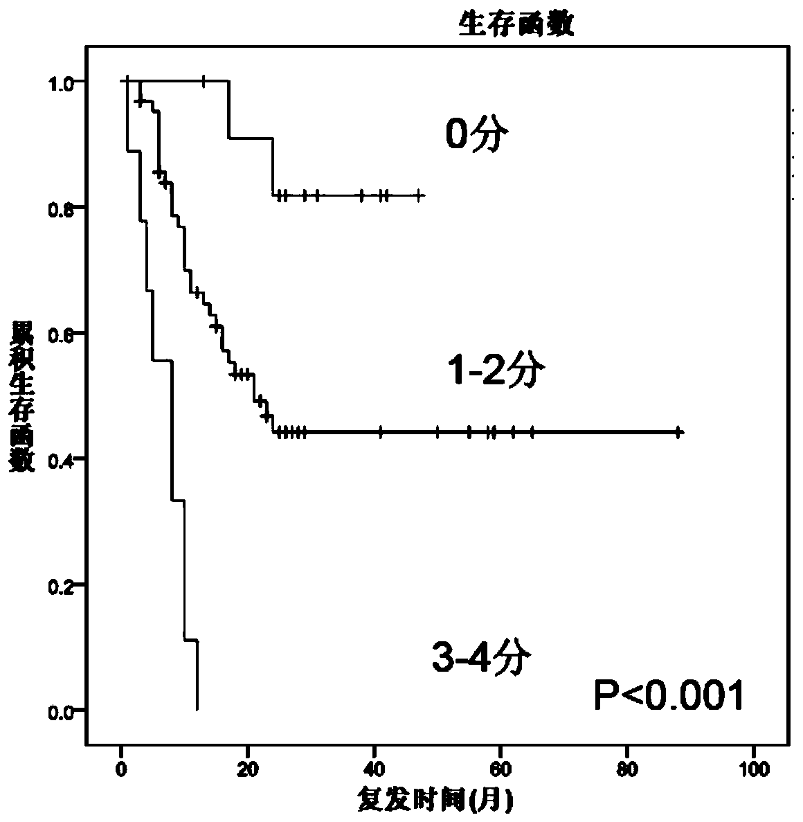 Prognosis condition grouping method for primary liver cancer radical resection, device and system