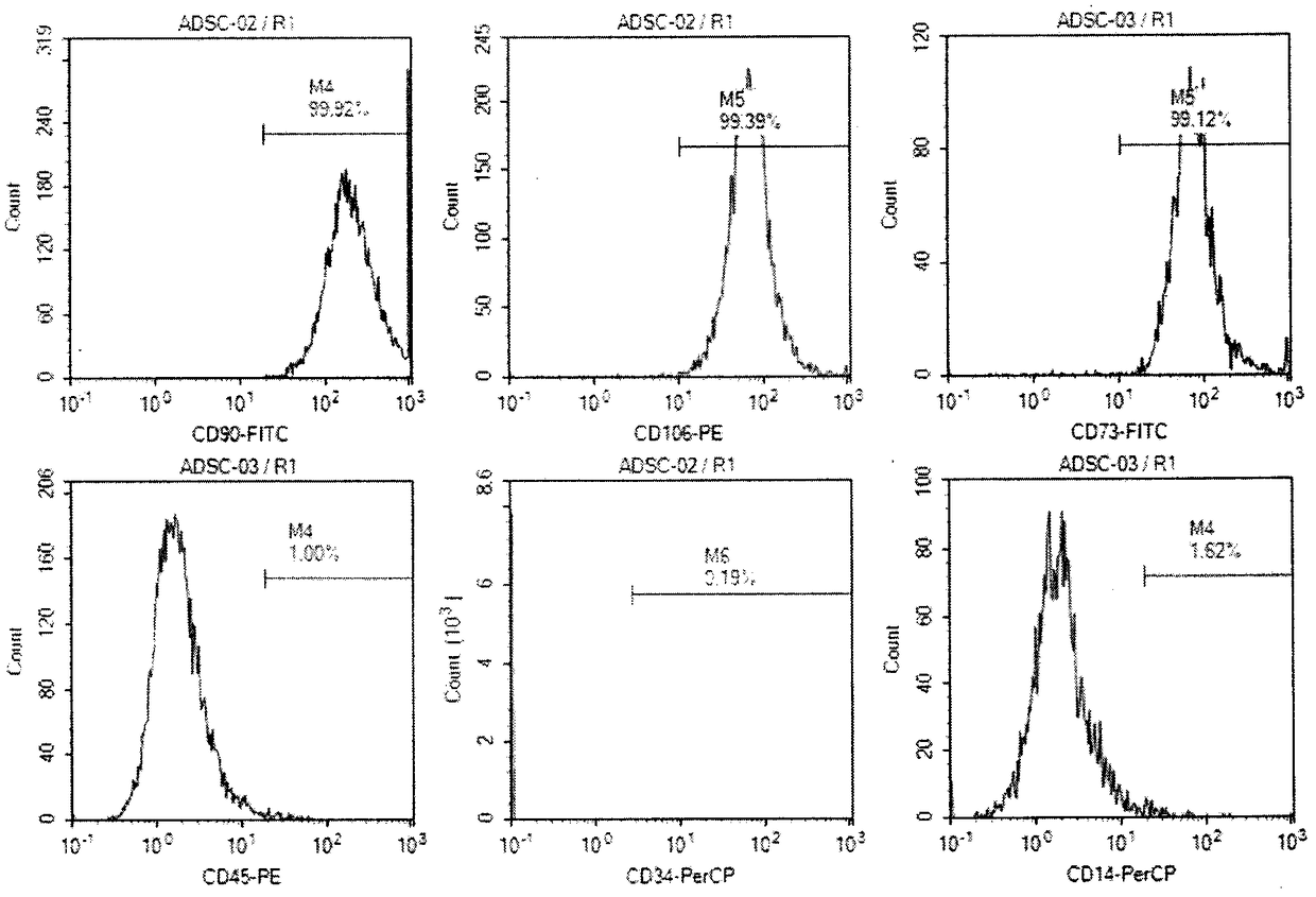 Method for preparing adipose-derived stem cells with function of high collagen expression and product prepared from adipose-derived stem cells