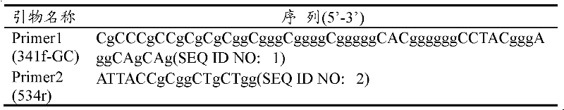 Detection method for structural change of rhizosphere soil microorganism of genetically modified paddy rice