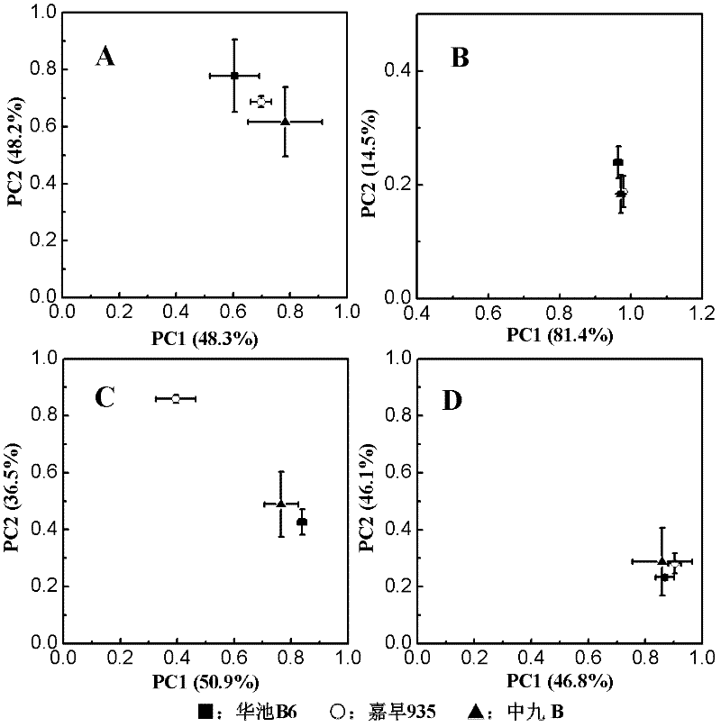 Detection method for structural change of rhizosphere soil microorganism of genetically modified paddy rice