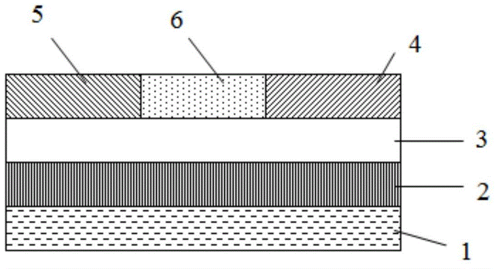 Preparation method for printing independent carbon nano tube thin film transistor in large area