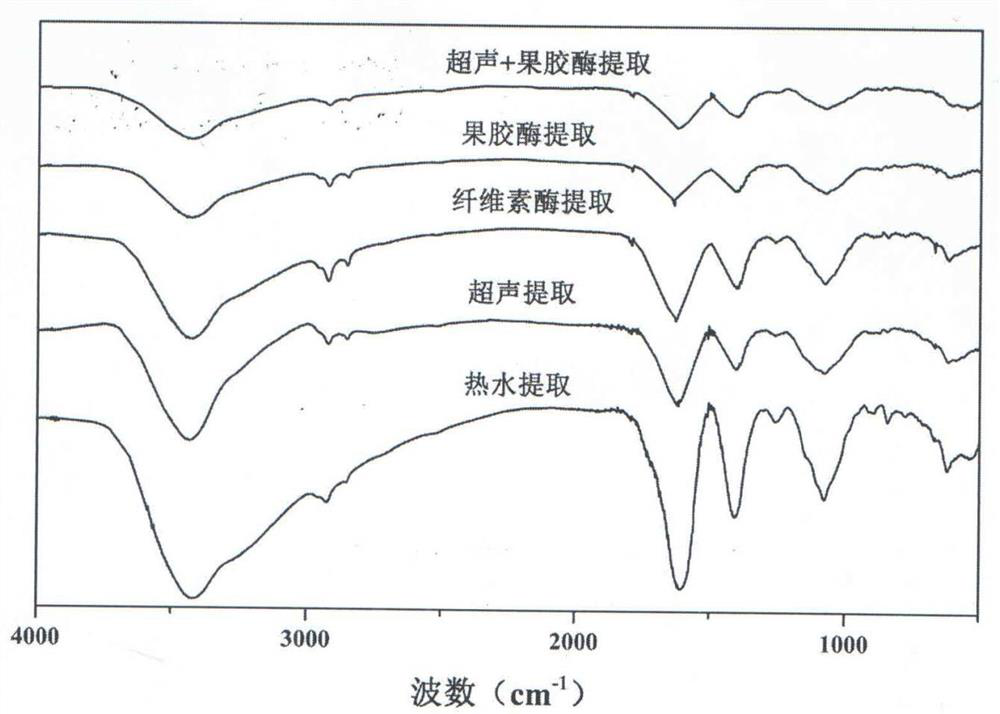 Preparation method and application of effective parts of Siberian white thorn polysaccharide