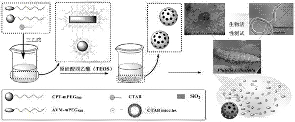A kind of camptothecin-abamectin silica nanoparticle and its preparation method and application