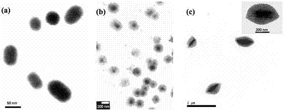A kind of camptothecin-abamectin silica nanoparticle and its preparation method and application