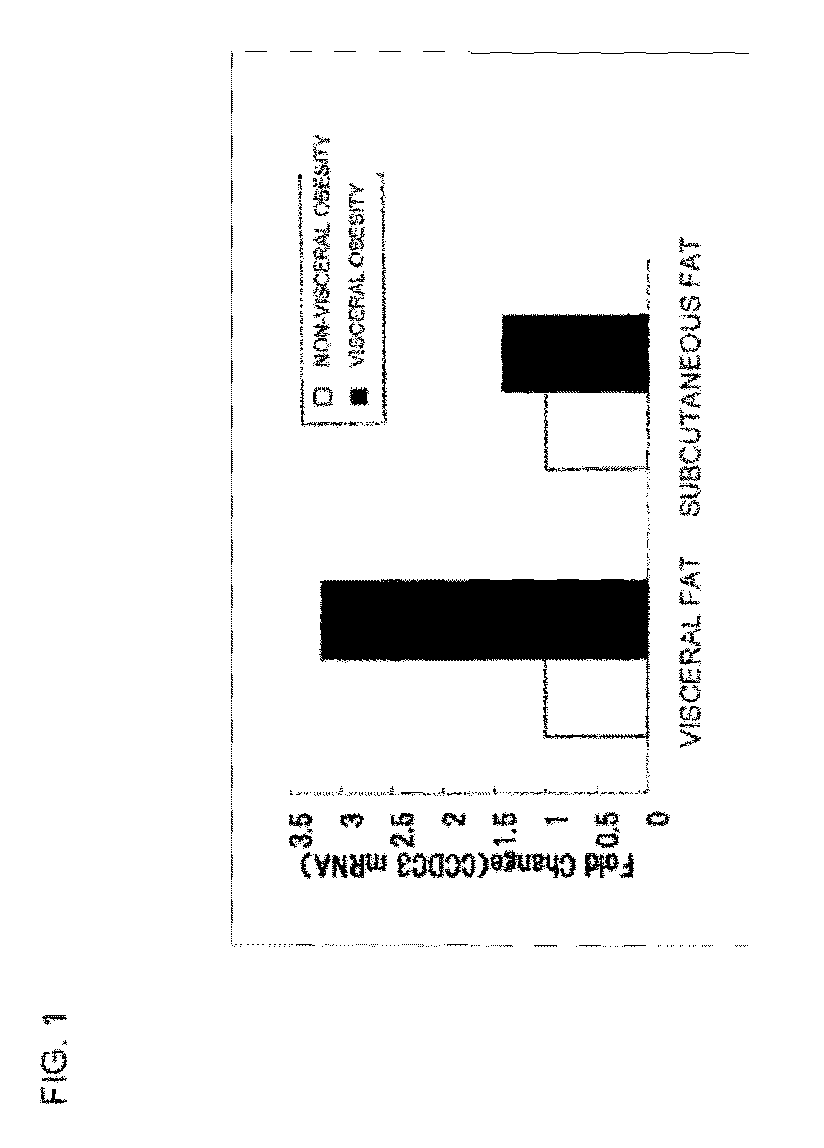 Test agent for visceral obesity and use thereof