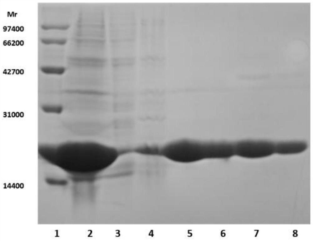 A kind of eb virus bfrf3-bzlf1 fusion protein, gene, vector containing it, host cell, test strip, production method and application thereof