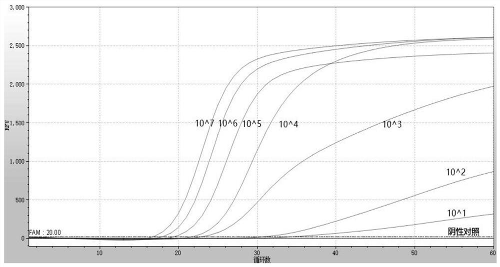 A kind of primer probe, kit and detection method for detecting ...