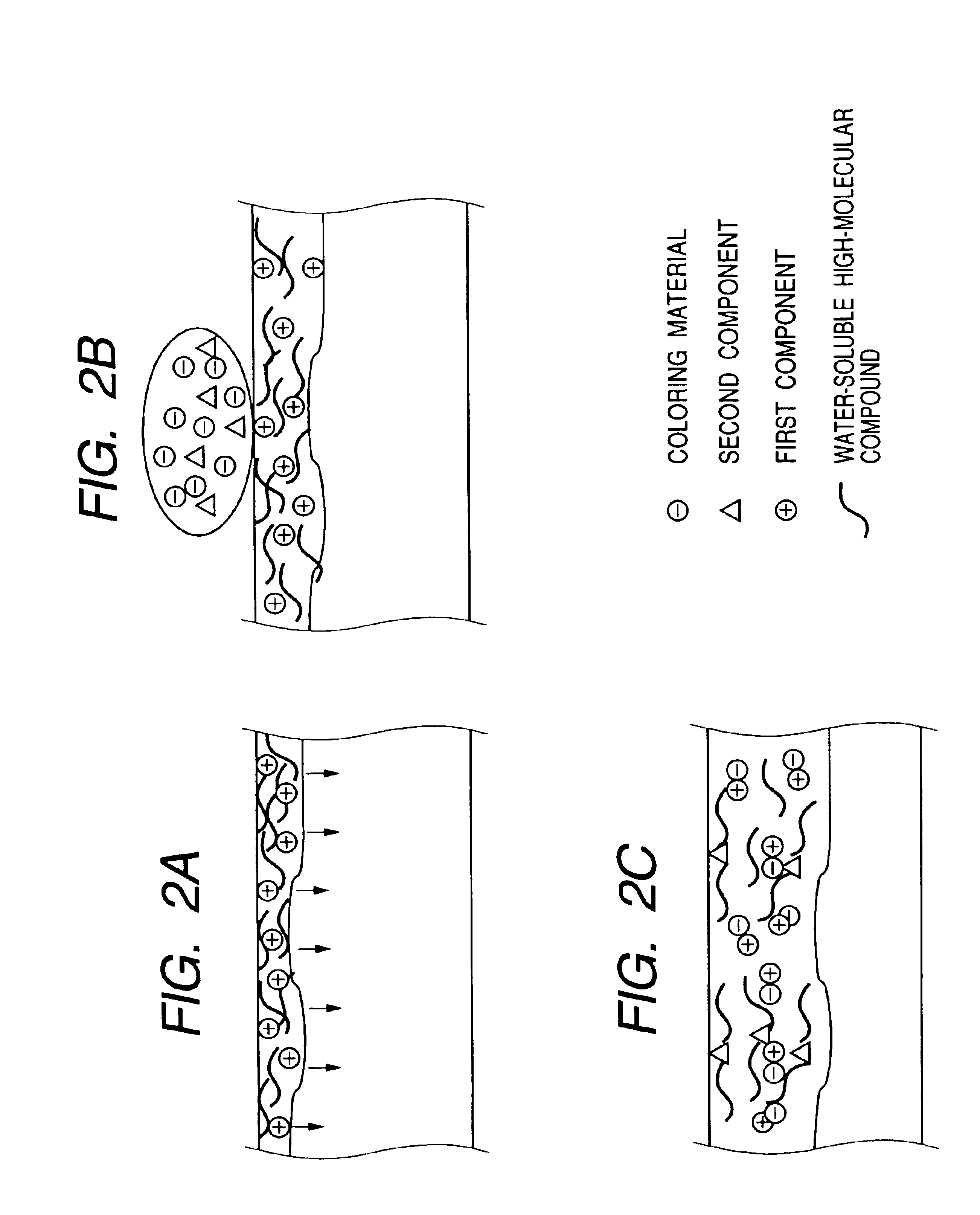Ink set and image forming process, and water-based ink used therein