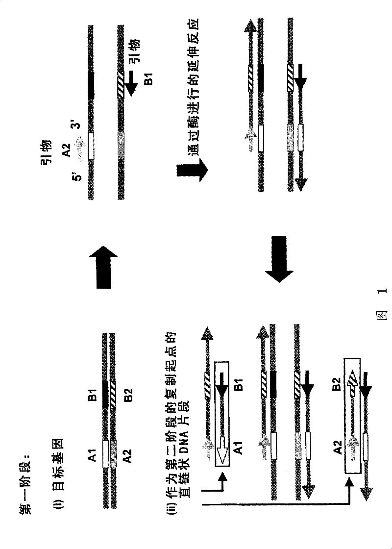 Nucleic acid amplification method