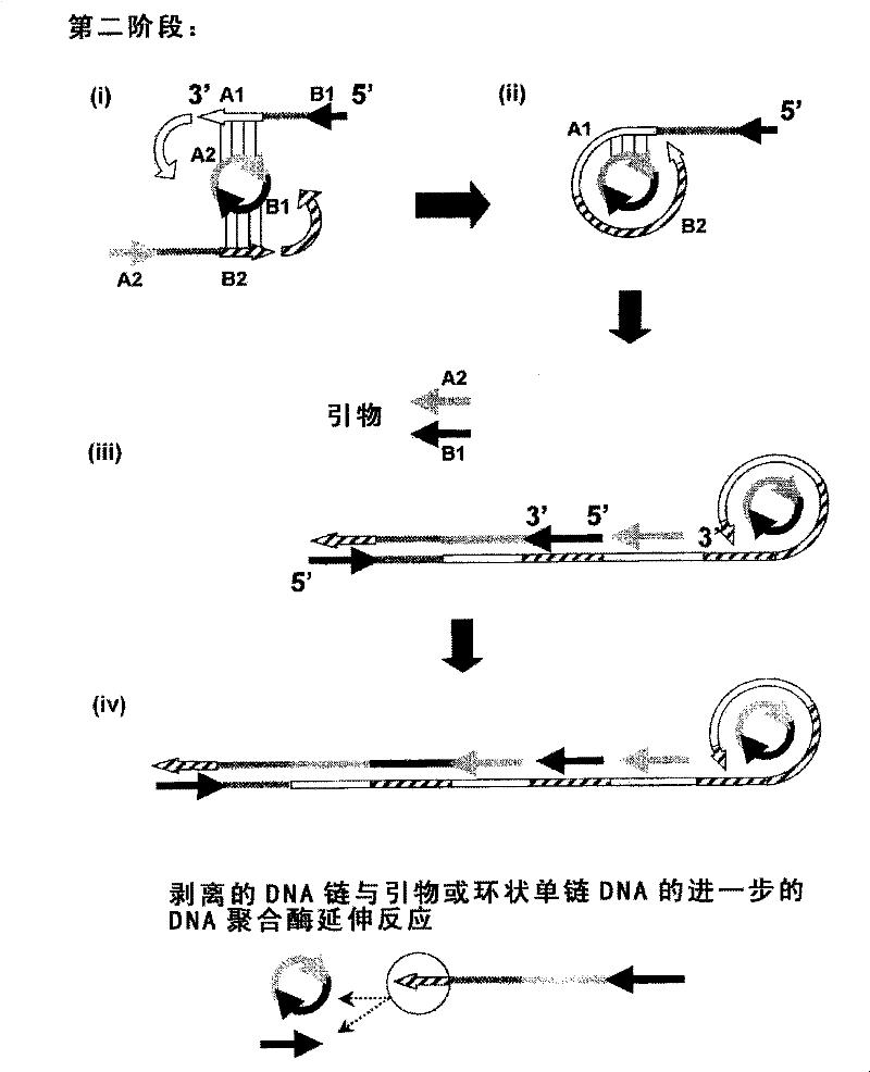 Nucleic acid amplification method