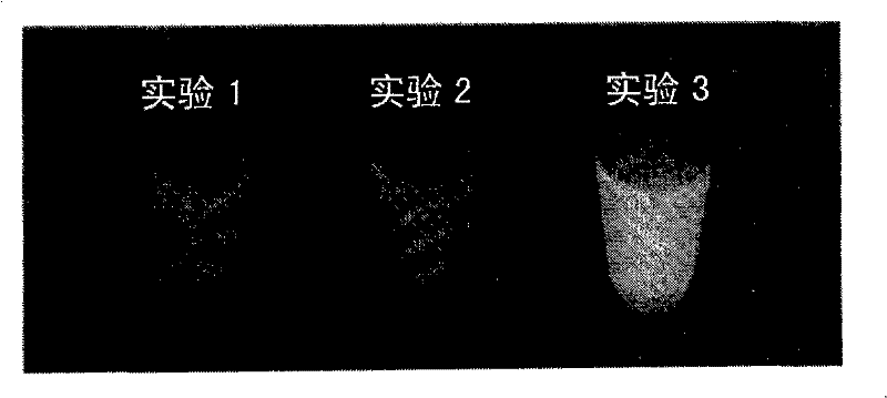 Nucleic acid amplification method